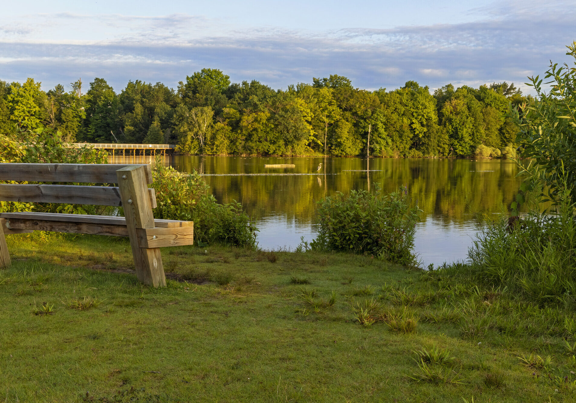 Wooden bench by serene lake and trees