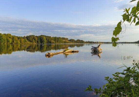 Scenic river view with trees and blue sky.