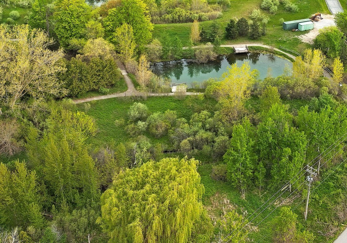 Aerial view of lush green park with pond.