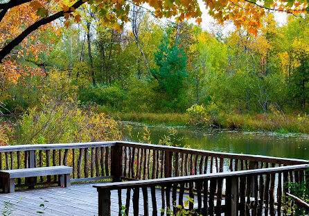 Wooden deck overlooking autumn forest and lake