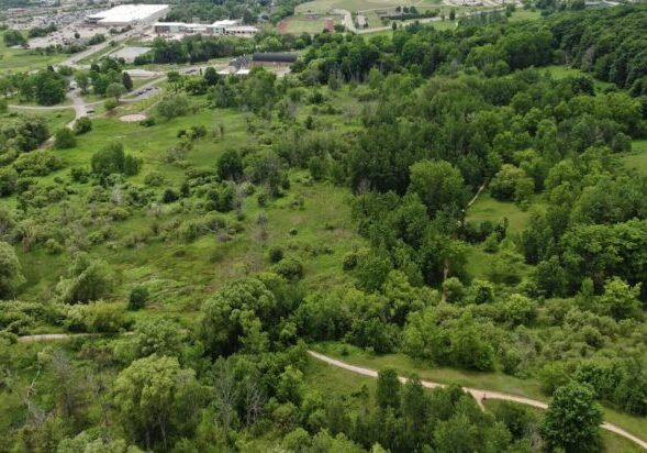Aerial view of lush green park and paths.
